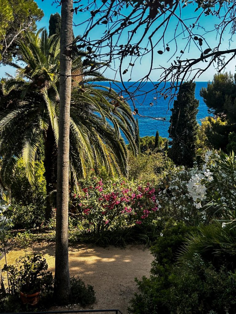Palme, cveće i pogled na Mediteran iz vrta Marimurtra